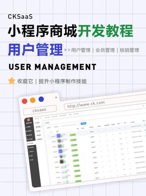 小程序開(kāi)發(fā)崗位解析 從技術(shù)到維護(hù)的職業(yè)全景